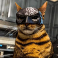 "The Feline Avenger" 3D Printed Mask – Funny Superhero Photo Accessory for Cats