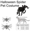 The "Spooky Spider" Plush Cat Costume – Creepy-Crawly Fun for Felines