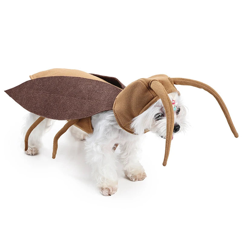 The "Cursed Crawler" Cockroach Costume – Hilarious Creepy-Crawly Outfit for Dogs