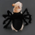 The "Tarantula Trot" Spider Dog Costume – Funny Bouncing Outfit for Pups
