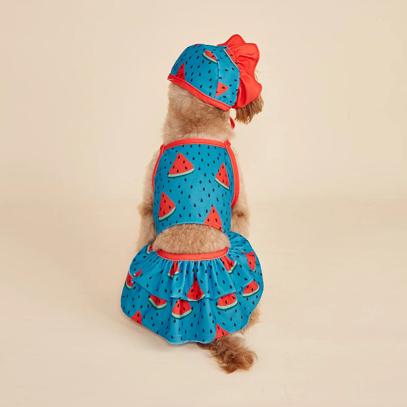 The "Watermelon Sugar" 3-Piece Summer Dress Set – Refreshing Ruffle Outfit for Dogs