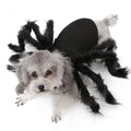 The "Tarantula Trot" Spider Dog Costume – Funny Bouncing Outfit for Pups