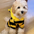 The "Busy Bee" Dog Hoodie – Soft Plush Costume for Small & Medium Pups