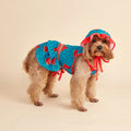 The "Watermelon Sugar" 3-Piece Summer Dress Set – Refreshing Ruffle Outfit for Dogs
