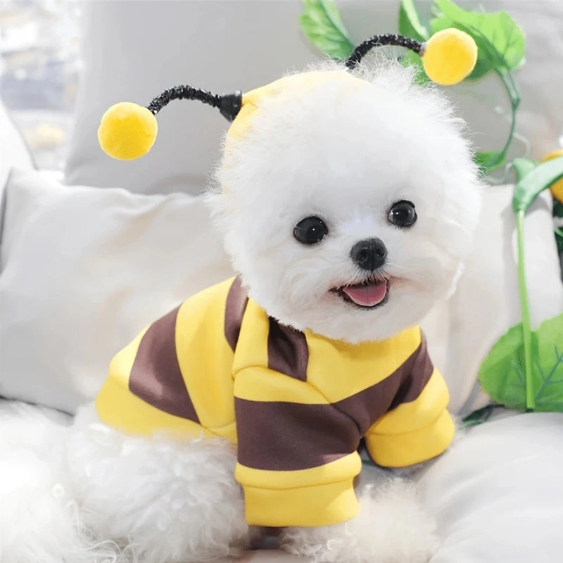 The "Busy Bee" Dog Hoodie – Soft Plush Costume for Small & Medium Pups