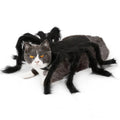 The "Spooky Spider" Plush Cat Costume – Creepy-Crawly Fun for Felines