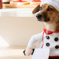 The "Chef de Bark" Culinary Costume – 5-Star Front-Walking Outfit for Dogs