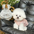 The "Blushing Princess" Lace Mesh Dog Dress – Elegant Pink Party Gown