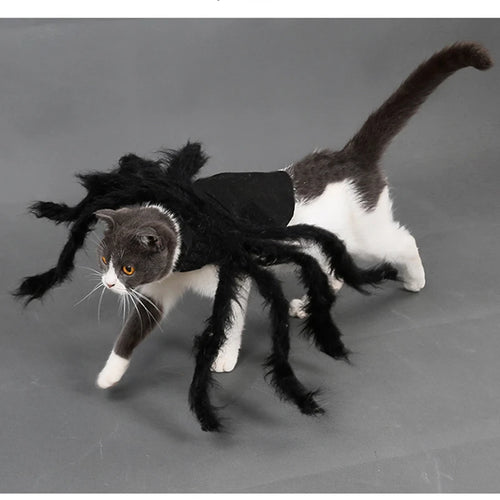 The "Spooky Spider" Plush Cat Costume – Creepy-Crawly Fun for Felines