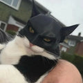 "The Feline Avenger" 3D Printed Mask – Funny Superhero Photo Accessory for Cats